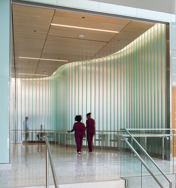 Project Gallery TGP FireRated Glass & Framing