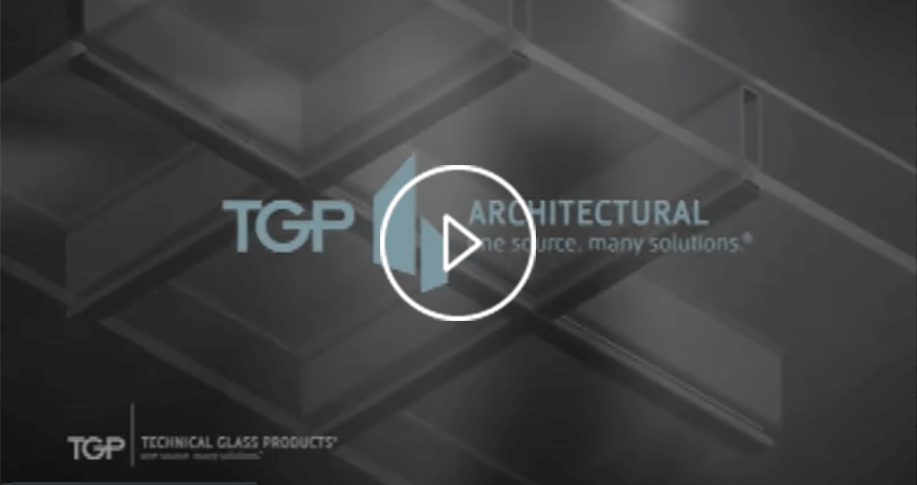 Video TGP